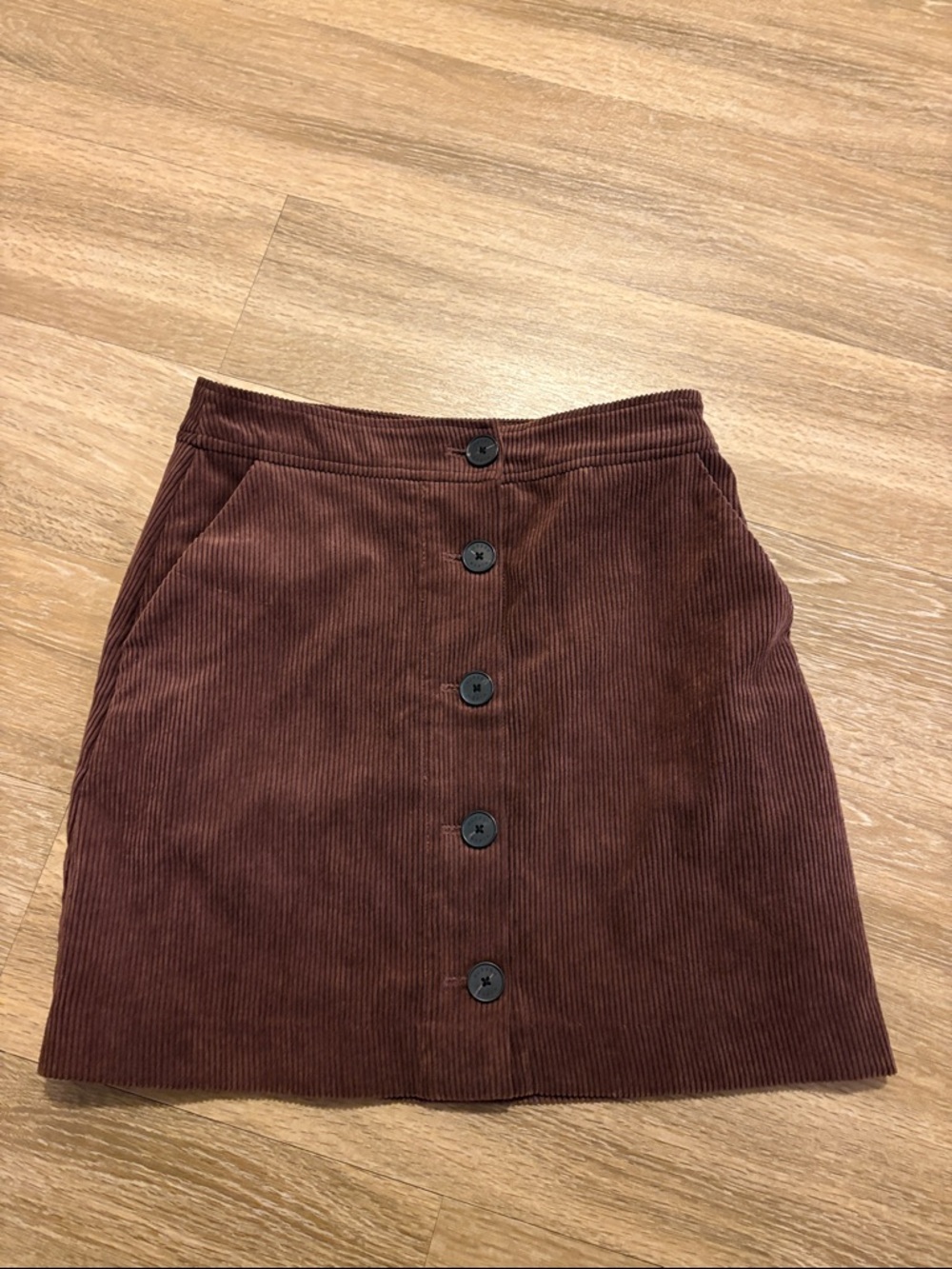 Size 6 Hudson North Skirt
